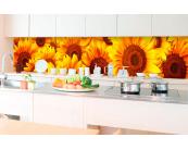Spritzschutz Größen Küchenrückwand "Sonnenblume in Feld" DEKOGLAS aus Glas v 