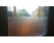 Fensterfolie Selbstklebende transparente Folie DIMEX - blätter - 121-004 - Breite 122 cm