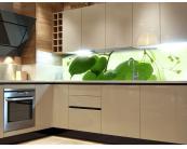 Küchenrückwand & Spritzschutz Küchenrückwand Folie - Grüne Blätter 180 x 60 cm