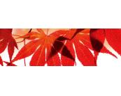 Küchenrückwand - Platte Küchenrückwand Glas - Rote Blätter