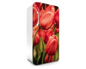 Klebefolie Kühlschrank - 65 x 120 cm Kühlschrank Aufkleber - Rote Tulpen 65 x 120 cm