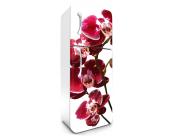 Klebefolie Kühlschrank - 65 x 180 cm Kühlschrank Aufkleber - Orchidee 65 x 180 cm