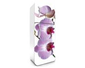 Klebefolie Kühlschrank - 65 x 180 cm Kühlschrank Aufkleber - Lila Orchidee 65 x 180 cm