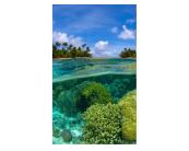 Fototapete Meer / Strand Vlies Fototapete - Korallenriff 150 x 250 cm 