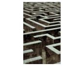 Vlies Fototapete Vlies Fototapete - 3D Labyrinth 150 x 250 cm 