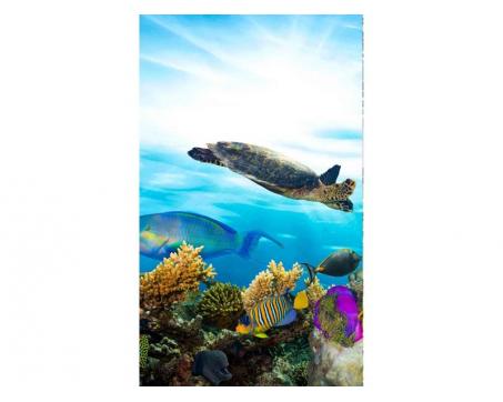Vlies Fototapete - Fische im Ozean 150 x 250 cm 
Durch Anklicken wird das Abbildungsdetail angezeigt.