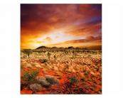 Fototapete Natur / Landschaft Vlies Fototapete - australische Landschaft 225 x 250 cm 