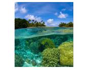 Fototapete Meer / Strand Vlies Fototapete - Korallenriff 225 x 250 cm 