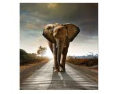 Fototapete Tiere Vlies Fototapete - gehender Elefant 225 x 250 cm 