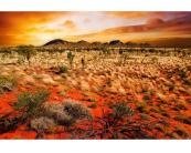 Fototapete Natur / Landschaft Vlies Fototapete - australische Landschaft 375 x 250 cm 