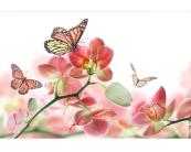 Vlies Fototapete - Schmetterling und Orchideen 375 x 250 cm 