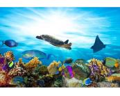 Vlies Fototapete - Fische im Ozean 375 x 250 cm 